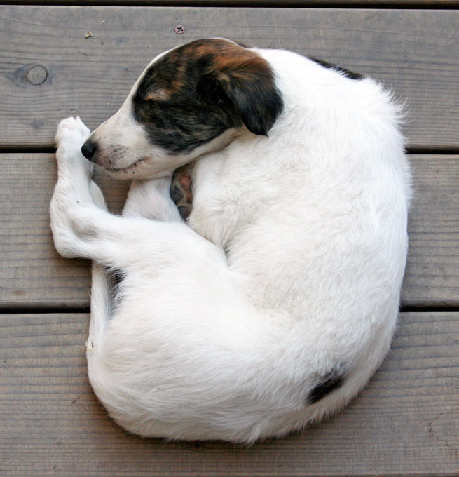 Surf Spots - Boy 1 Sleeping